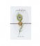 A Beautiful Story Armband Jewelry Postcard Peacock gold plated (JP00041) A Beautiful Story Armband Jewelry Postcard Peacock gold plated (JP00041)